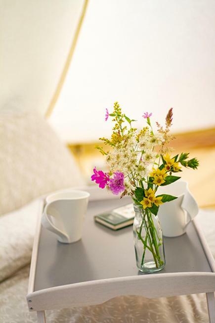 Отель Lloyds Meadow Glamping Честер Экстерьер фото